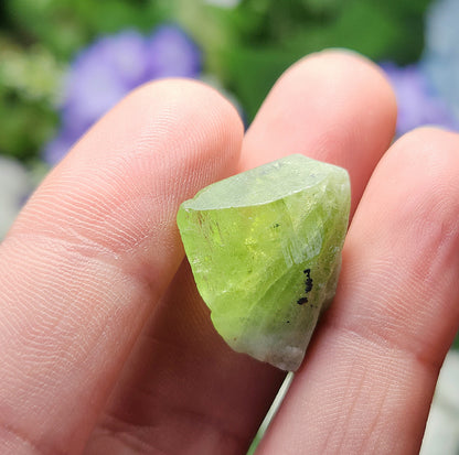Terminated Peridot