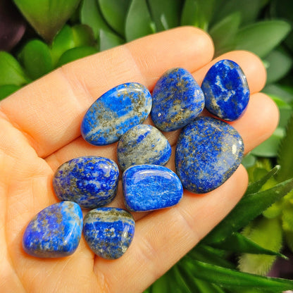 Lapis Lazuli Crystal Tumbled Stone