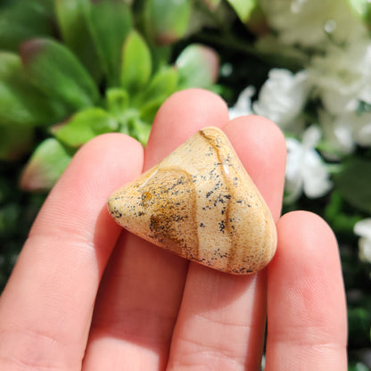 Picture Jasper Stone
