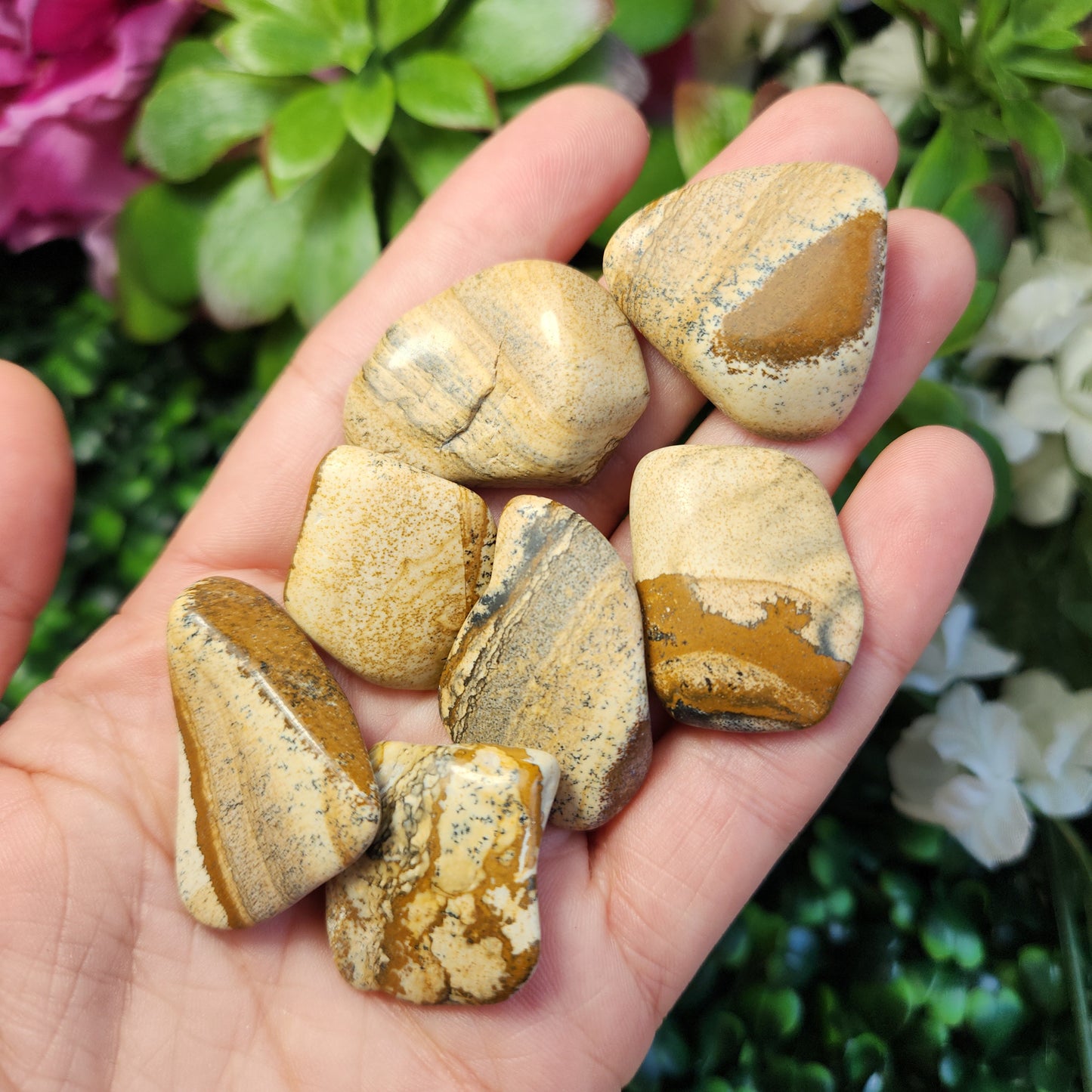 Picture Jasper Stone