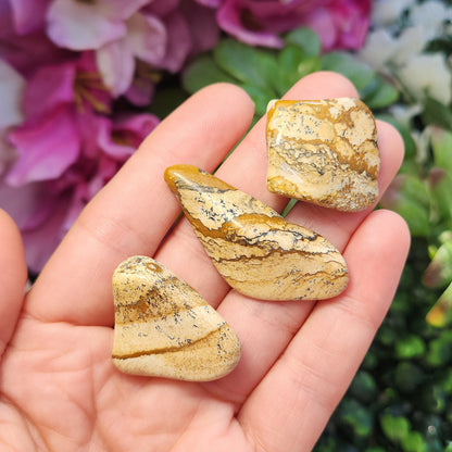 Picture Jasper Stone