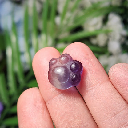 Rainbow Fluorite Paw