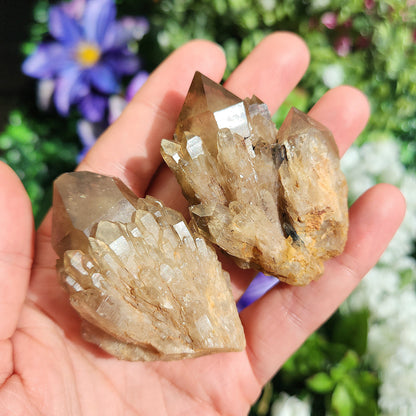 Kundalini Citrine Crystal