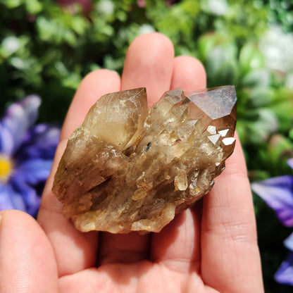 Kundalini Citrine Crystal