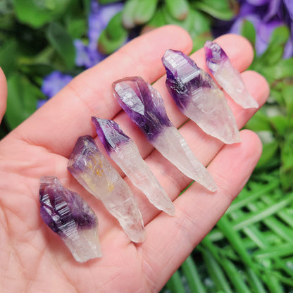 Phantom Amethyst