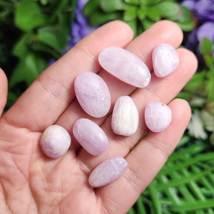 Pink Kunzite "Cats Eye" Crystal
