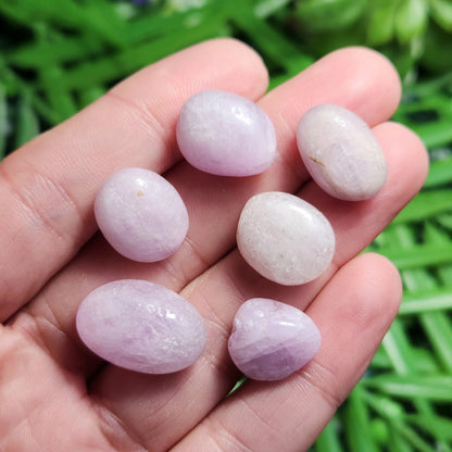 Pink Kunzite "Cats Eye" Crystal