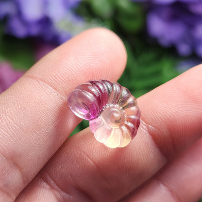 Rainbow Fluorite Spiral Seashell
