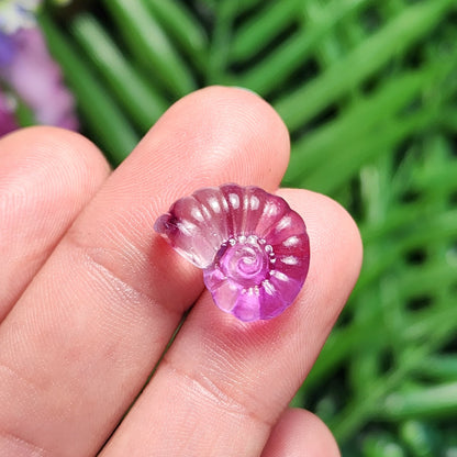 Rainbow Fluorite Spiral Seashell
