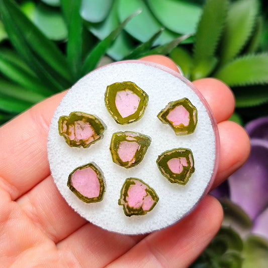 Watermelon Tourmaline Slice