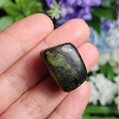 Peridotite Specimen