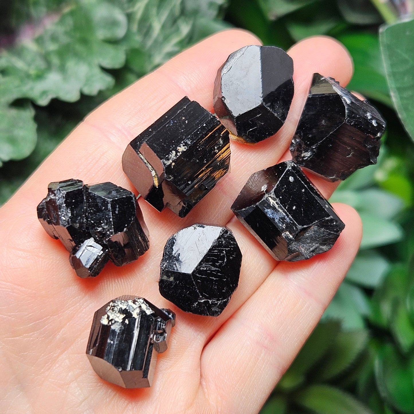 Terminated Black Tourmaline