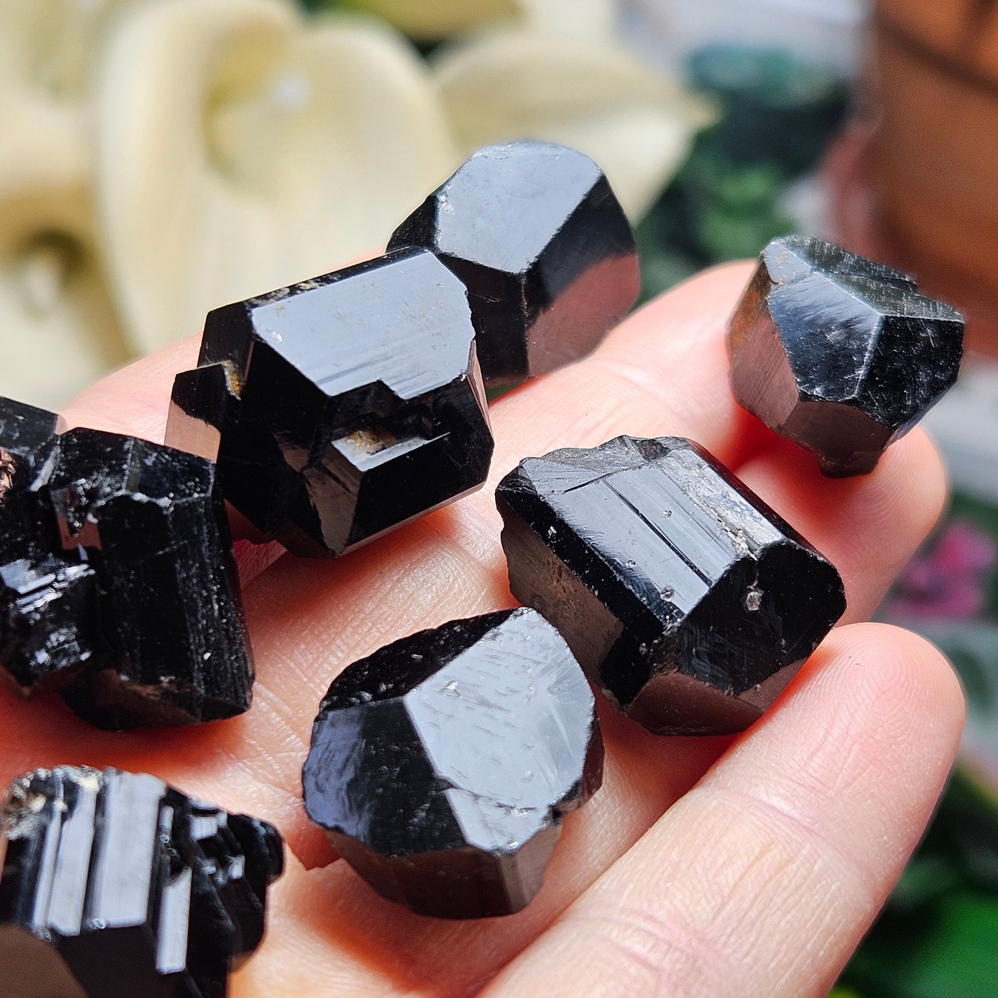 Terminated Black Tourmaline