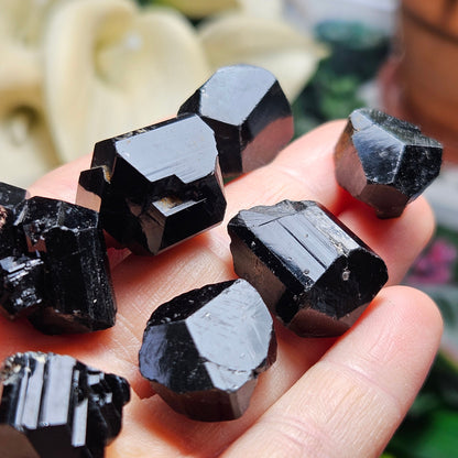 Terminated Black Tourmaline