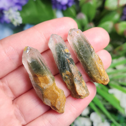 Green Amphibole Phantom Quartz