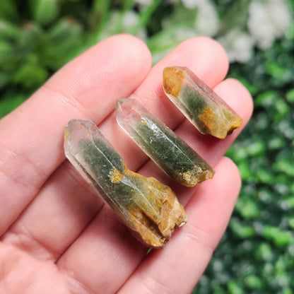 Green Amphibole Phantom Quartz