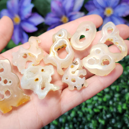 Bamboo Agate with HOLE