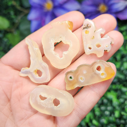 Bamboo Agate with HOLE