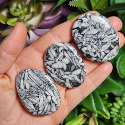 Pinolith Crystal