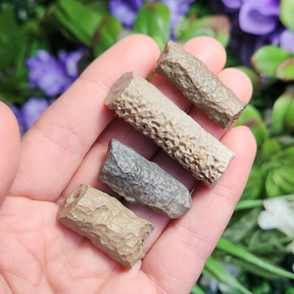 Bamboo Agate Stalactite