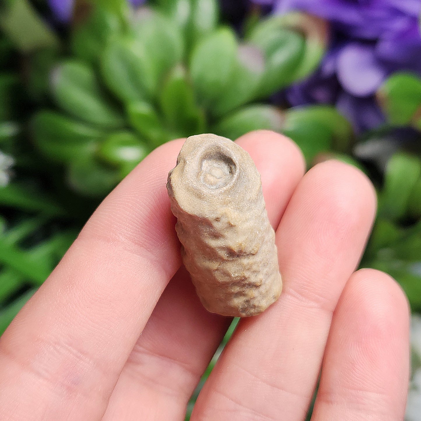 Bamboo Agate Stalactite