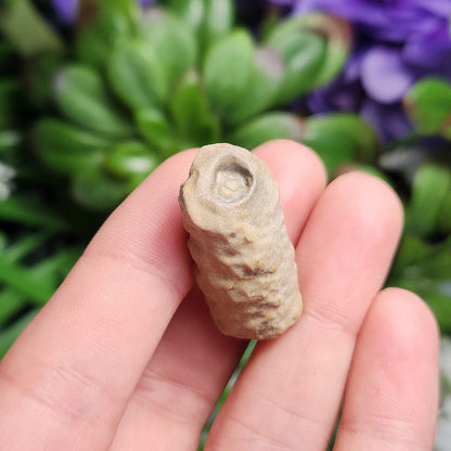 Bamboo Agate Stalactite