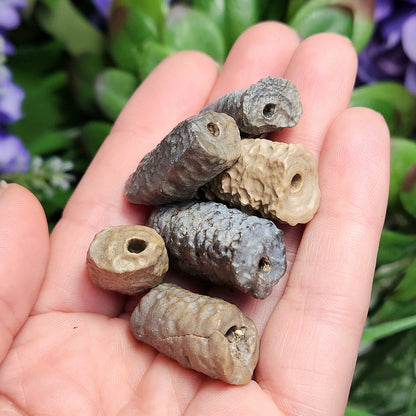 Bamboo Agate Stalactite