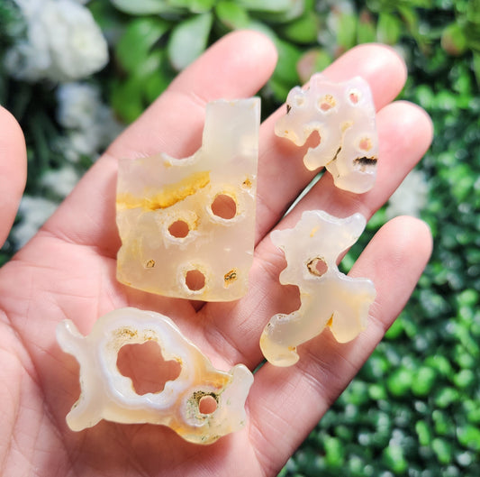 Bamboo Agate with HOLE