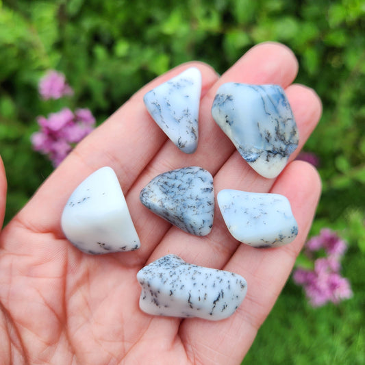 Dendritic Opal Crystal