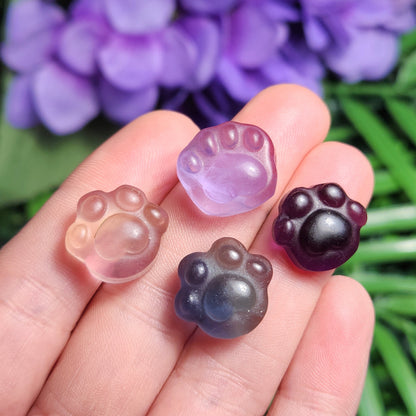 Rainbow Fluorite Paw