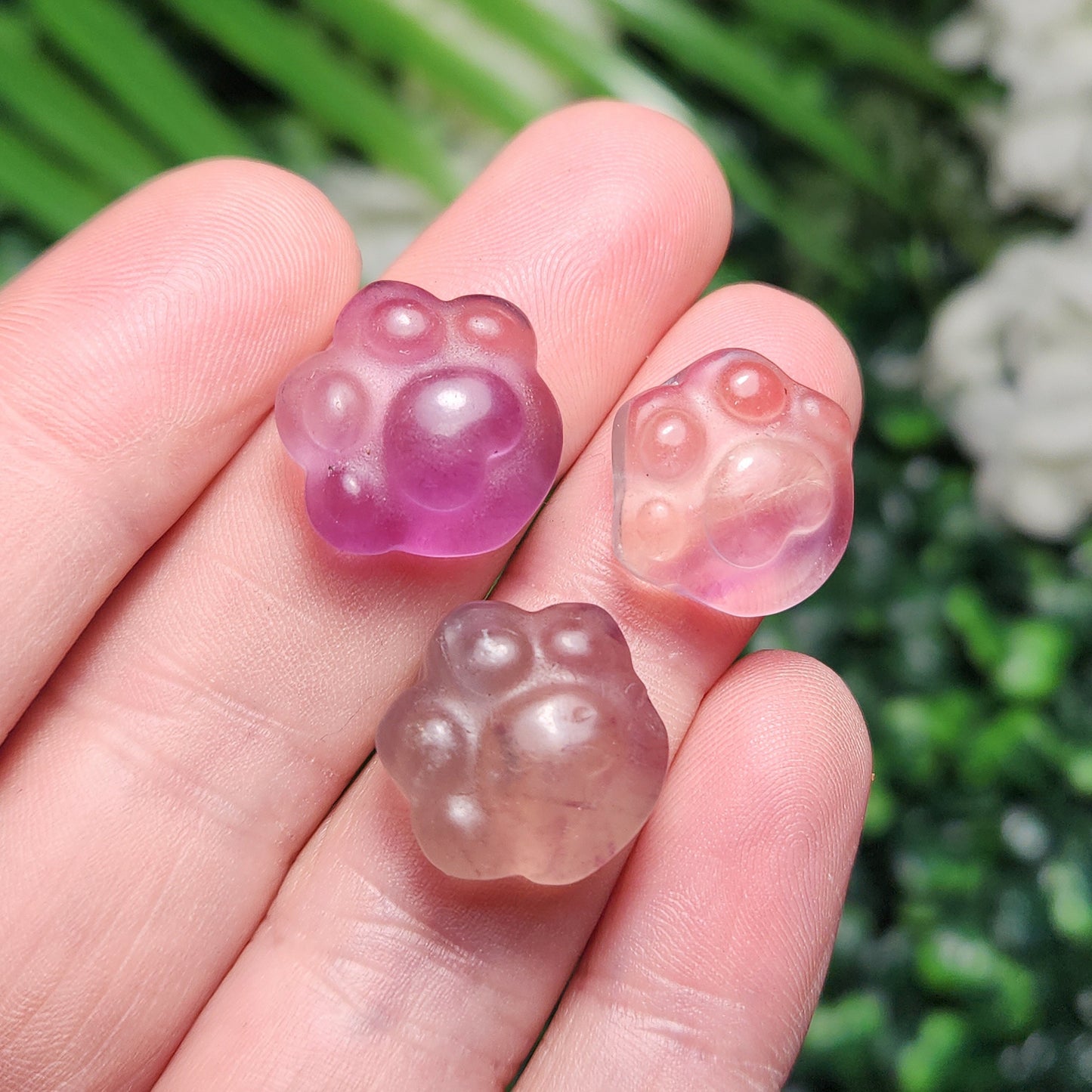Rainbow Fluorite Paw