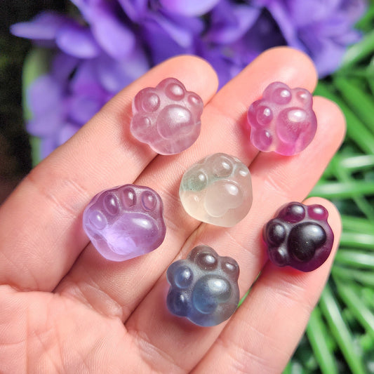 Rainbow Fluorite Paw