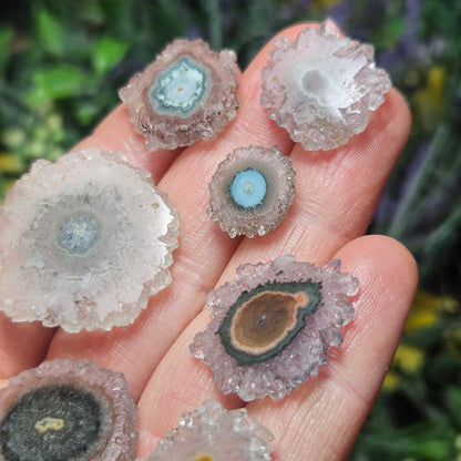 Quartz Stalactite:  Stalactite Slice Crystal