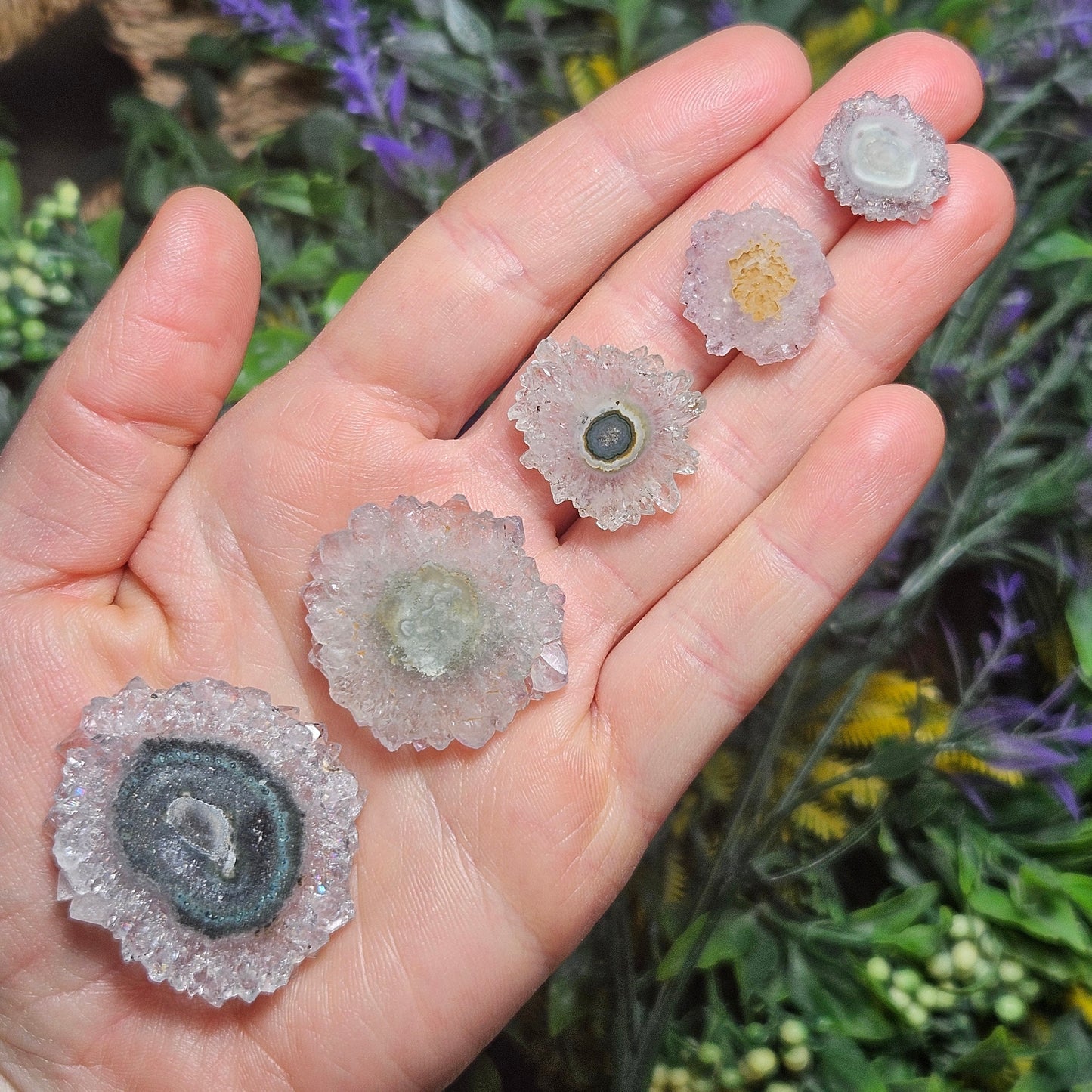 Quartz Stalactite:  Stalactite Slice Crystal
