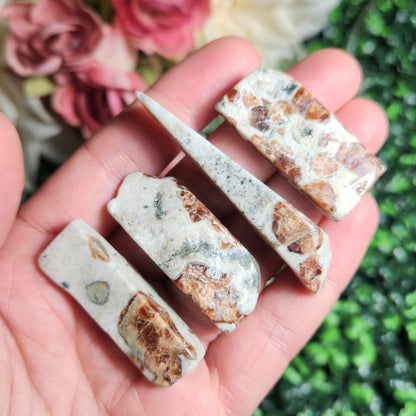 Garnet in Wollastonite