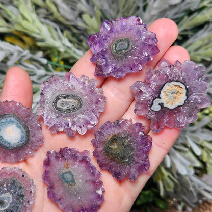 Amethyst Stalactite Slice