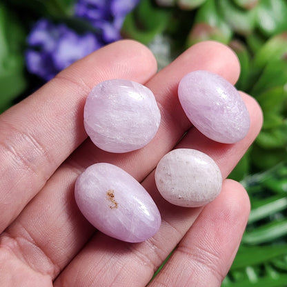 Pink Kunzite "Cats Eye" Crystal