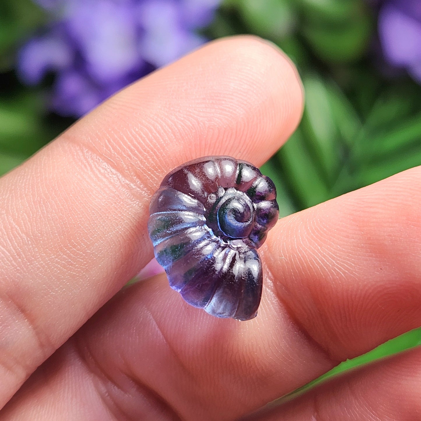 Rainbow Fluorite Spiral Seashell