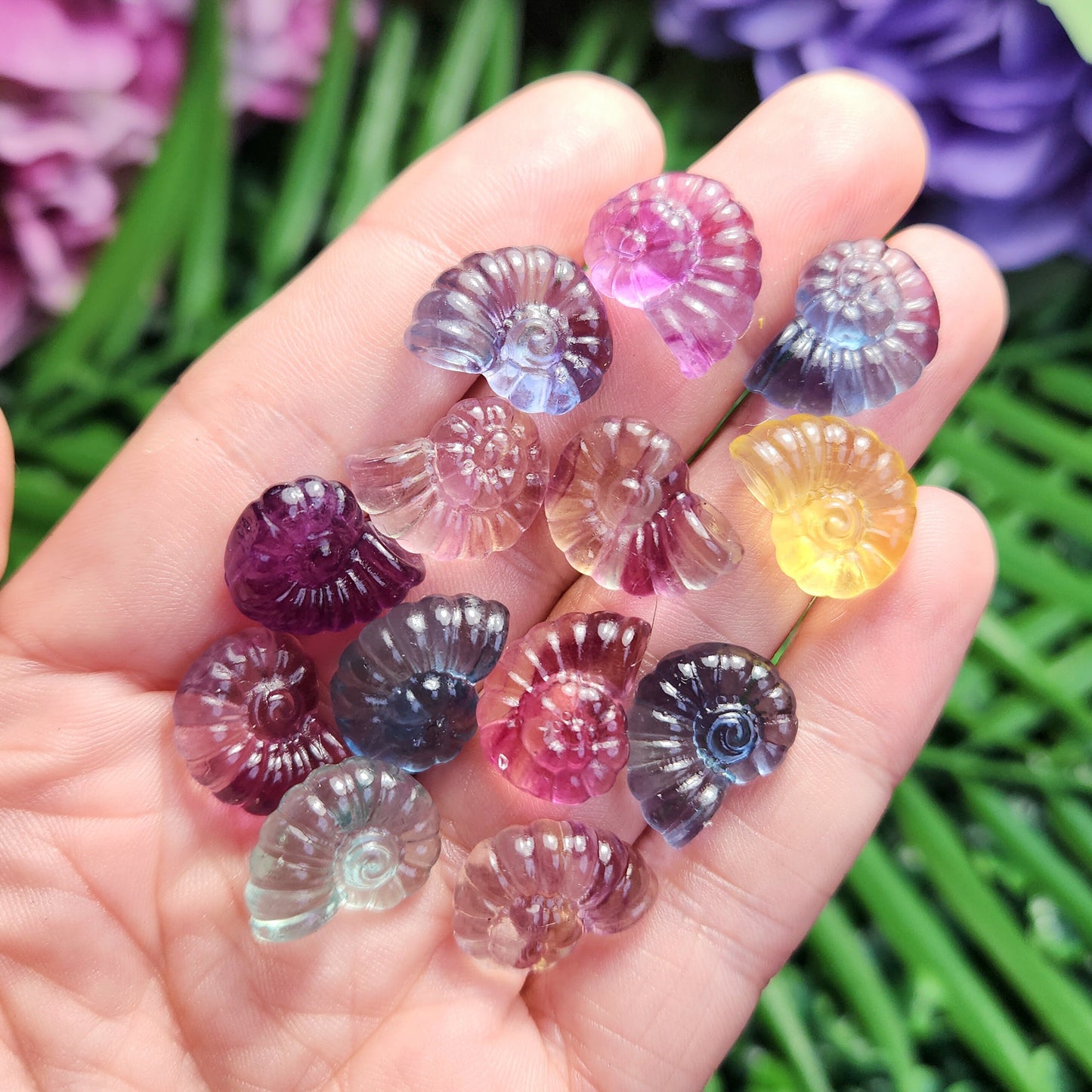 Rainbow Fluorite Spiral Seashell