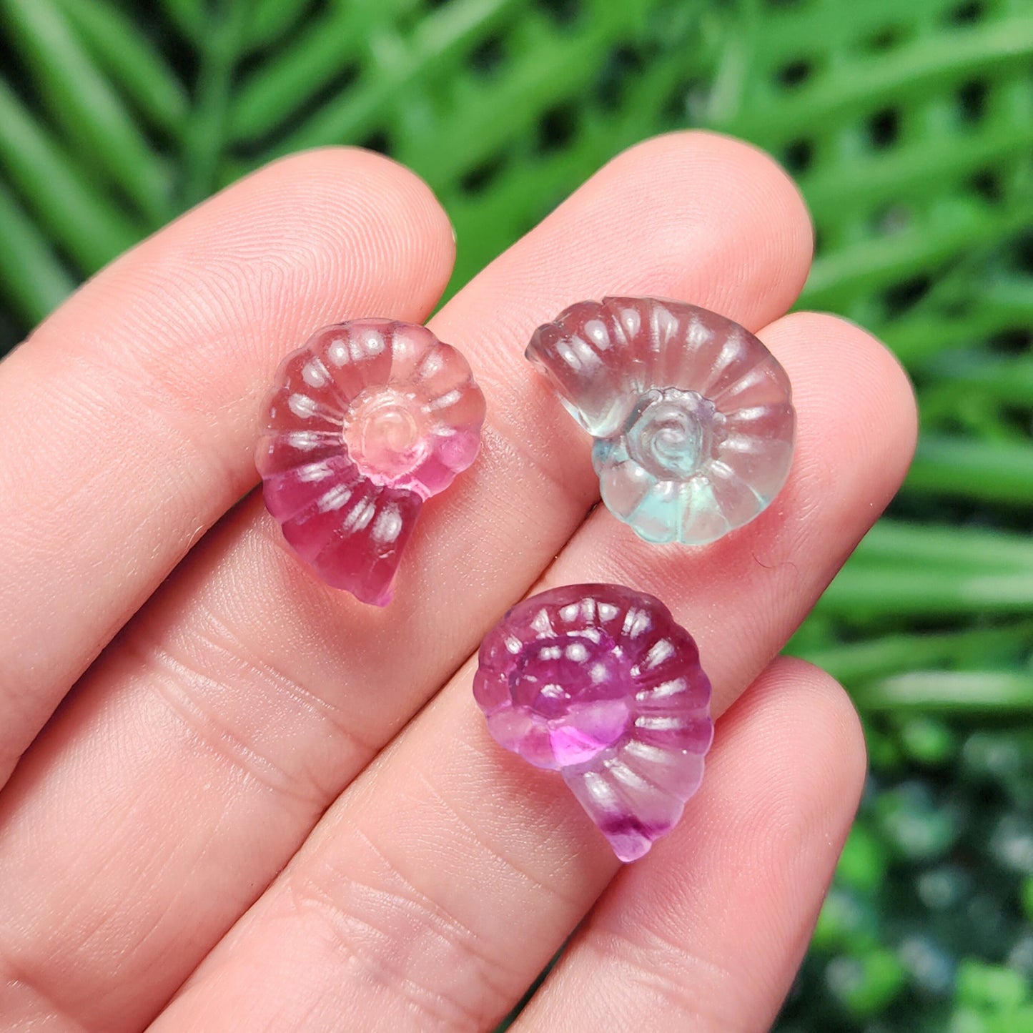 Rainbow Fluorite Spiral Seashell