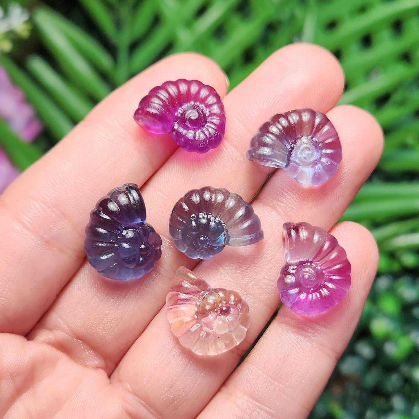 Rainbow Fluorite Spiral Seashell