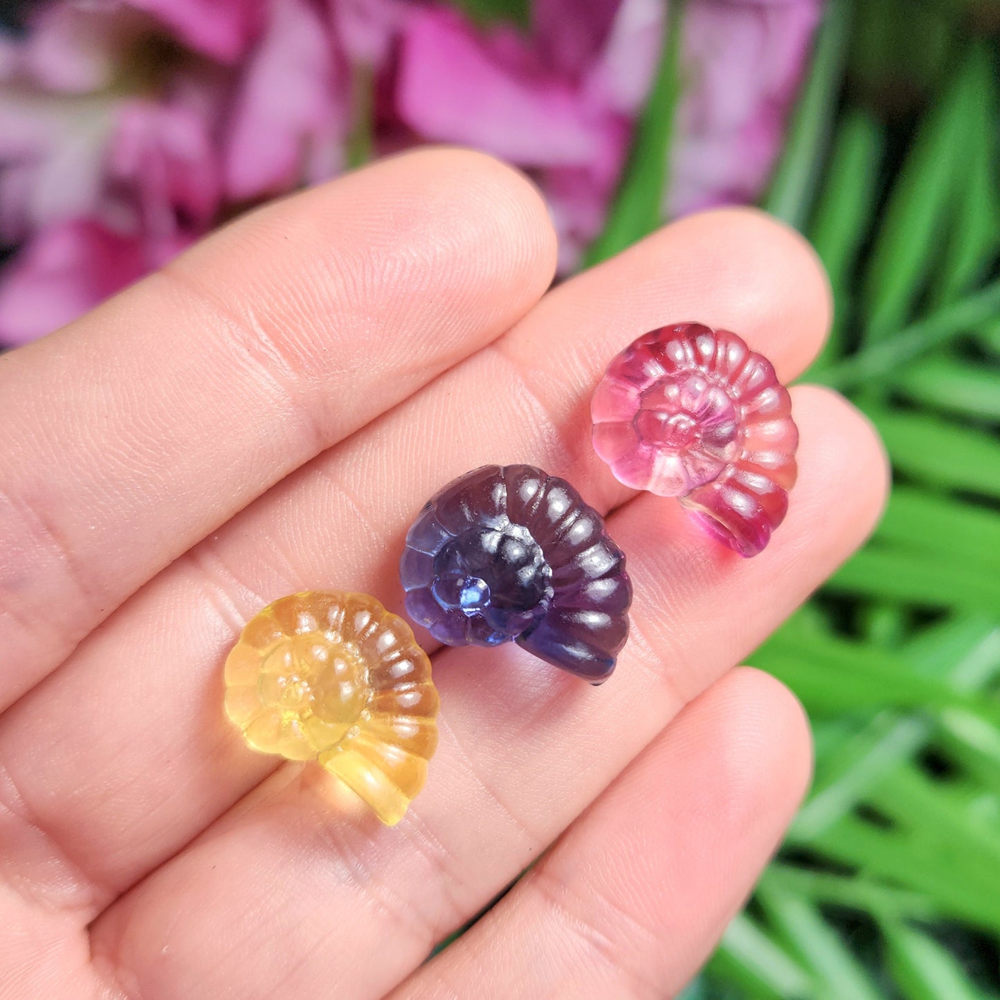 Rainbow Fluorite Spiral Seashell