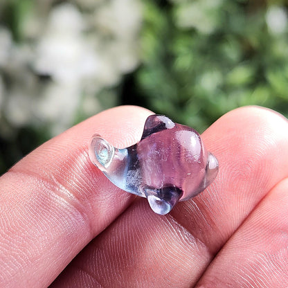 Rainbow Fluorite Dolphin