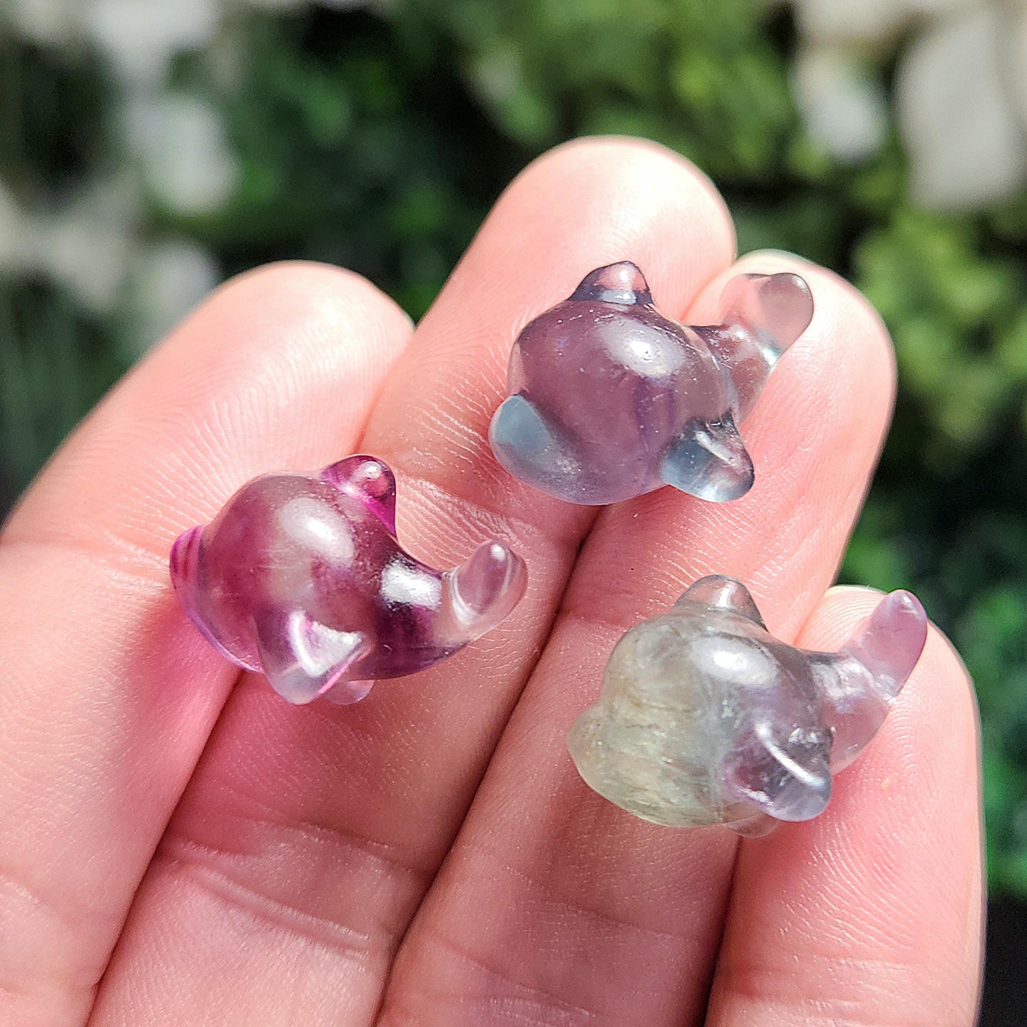 Rainbow Fluorite Dolphin