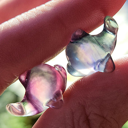 Rainbow Fluorite Dolphin