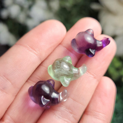 Rainbow Fluorite Dolphin