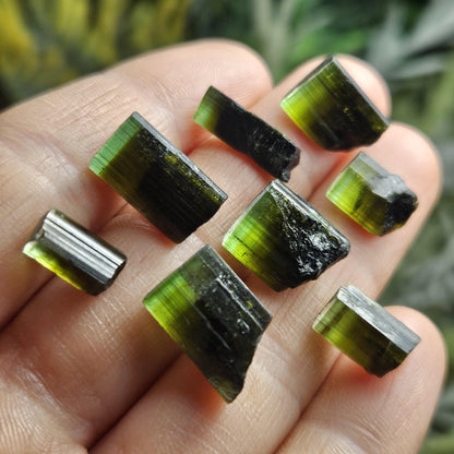 Bicolor Green Tourmaline Crystal
