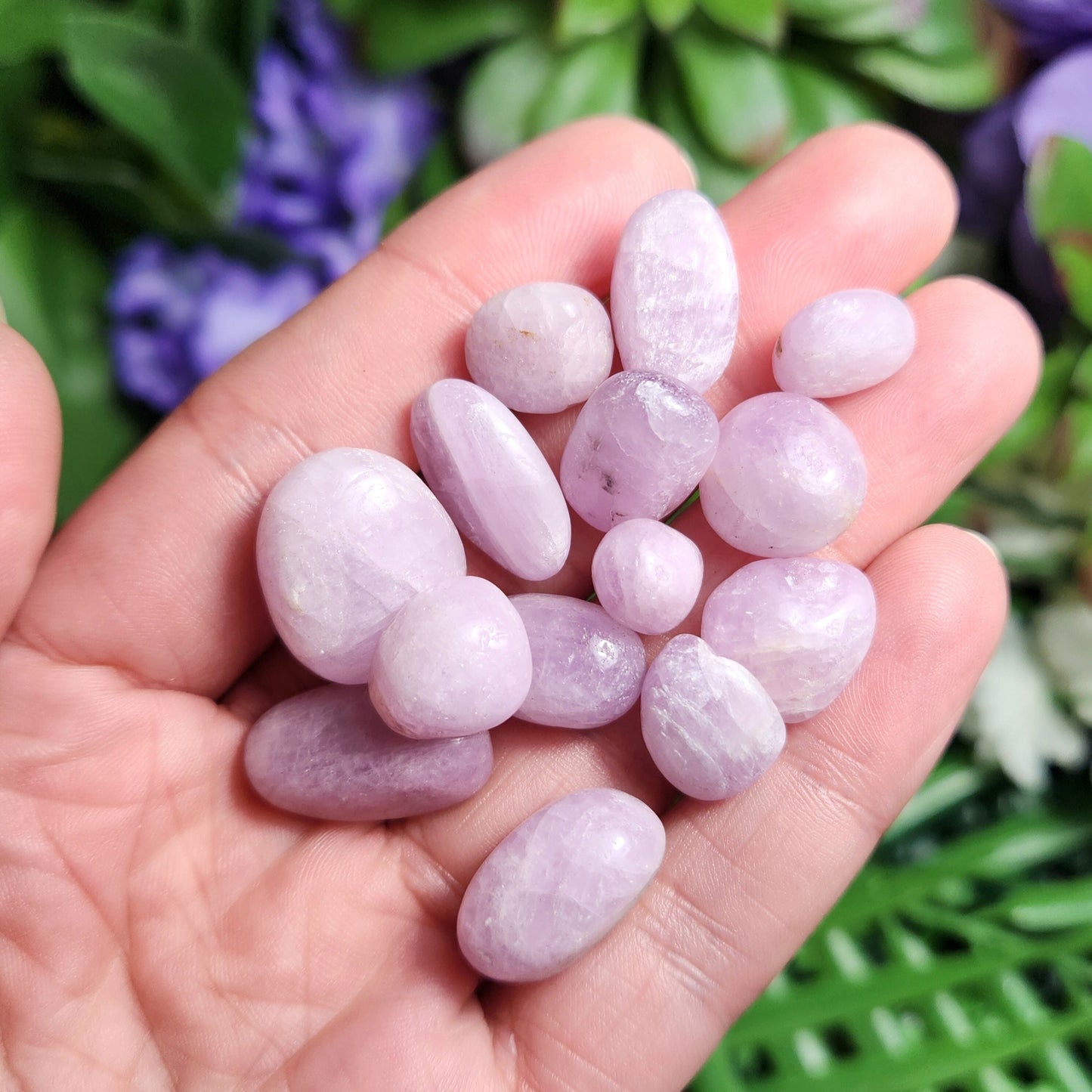 Pink Kunzite "Cats Eye" Crystal