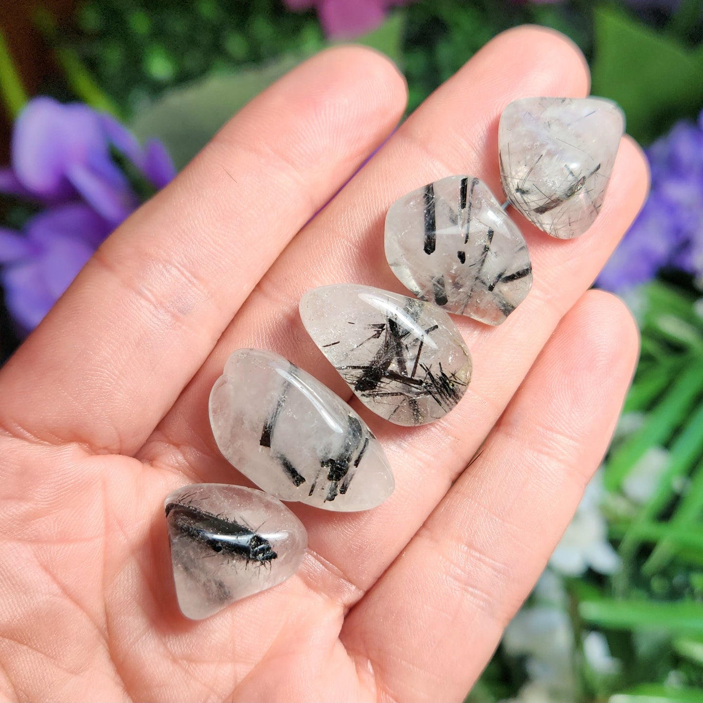 Black Tourmaline in Quartz