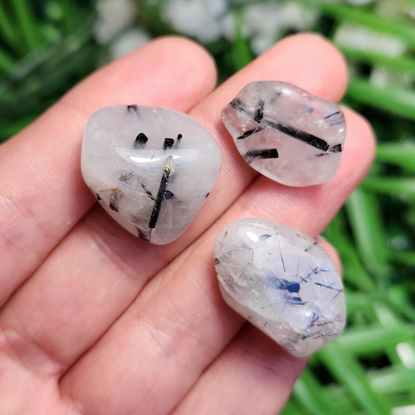 Black Tourmaline in Quartz